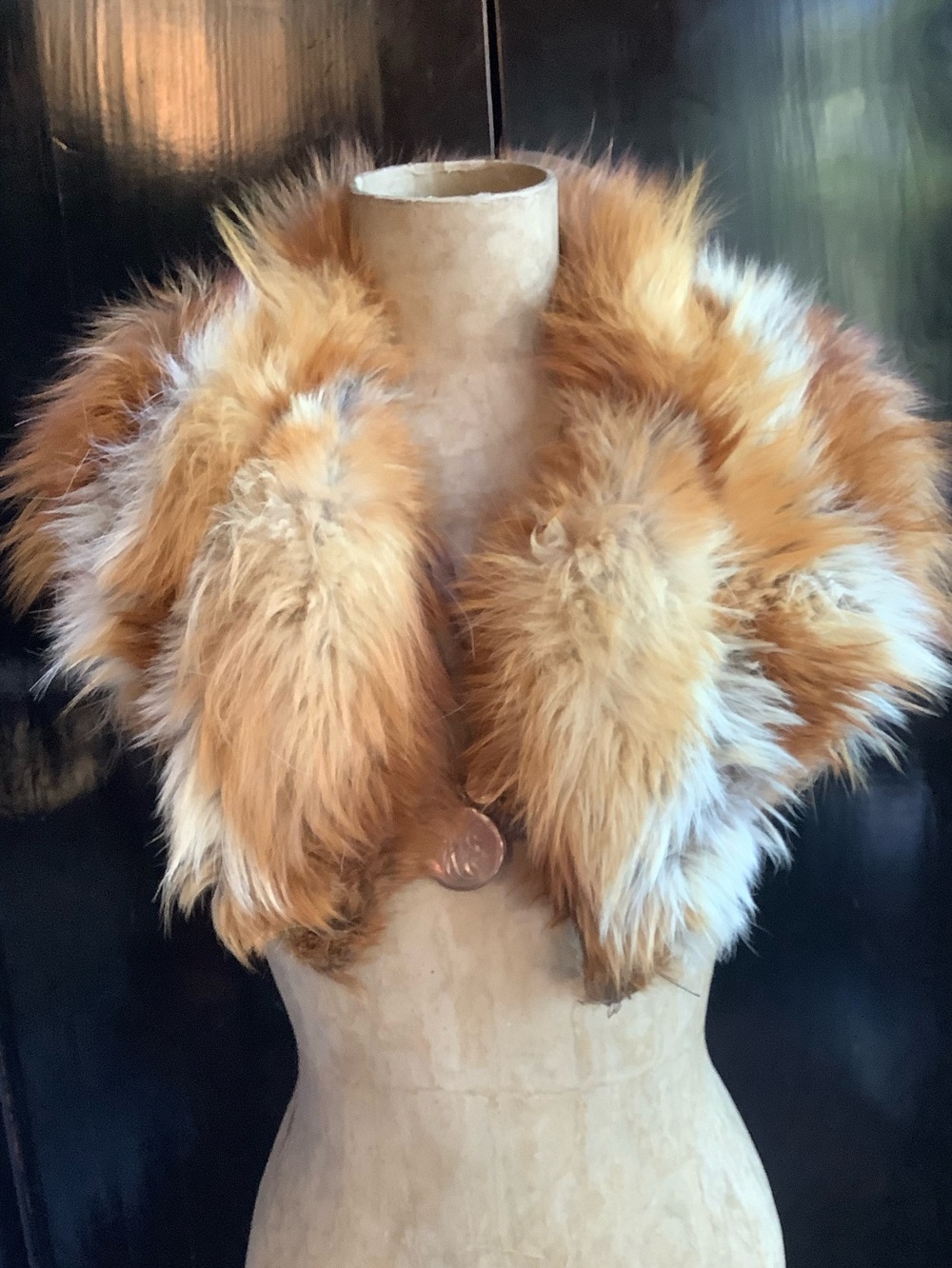 Wounded Bird….VTG Fur Collar